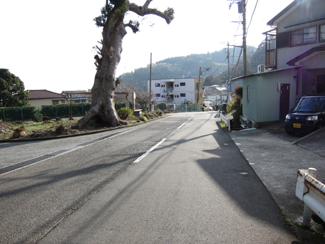 20200122hike (246)